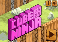 Cube Ninja