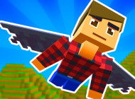 Elytra Flight