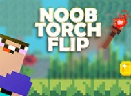Noob Torch Flip 2D