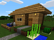 Worldcraft: 3D Bluid & Craft